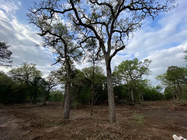 TBD Parcel 2 Paffen DR, Paige, TX 78659