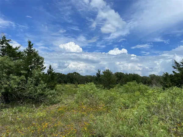 TBD FM 141, Giddings, TX 78942