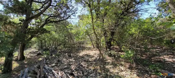 15921 Salado DR, Temple, TX 76502