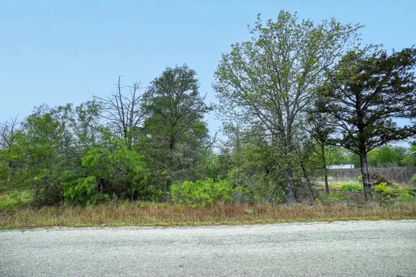 TBD N Gaines RD, Cedar Creek, TX 78602