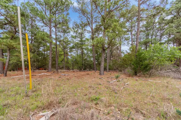141 Kamaiki DR, Bastrop, TX 78602