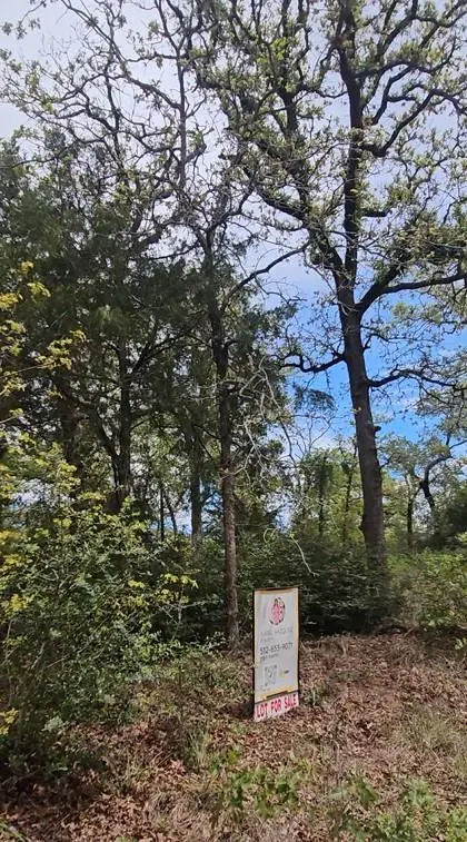 TBD Co Rd 308 RD, Caldwell, TX 77836