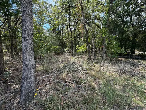 [Lot 1] 000 Jordan LN, Elgin, TX 78621
