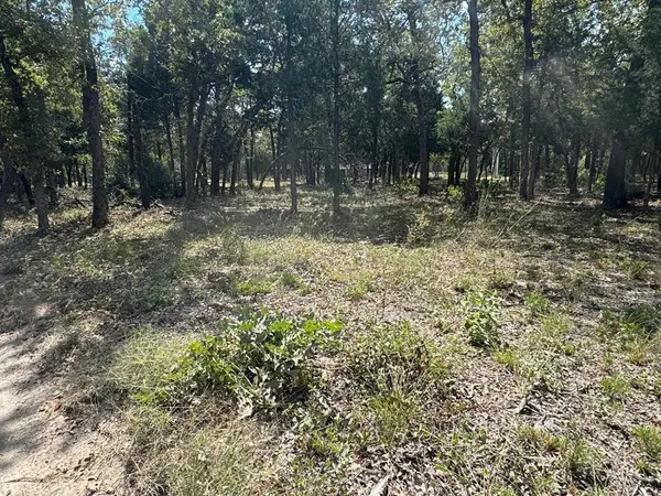 [Lot 1] 000 Jordan LN, Elgin, TX 78621