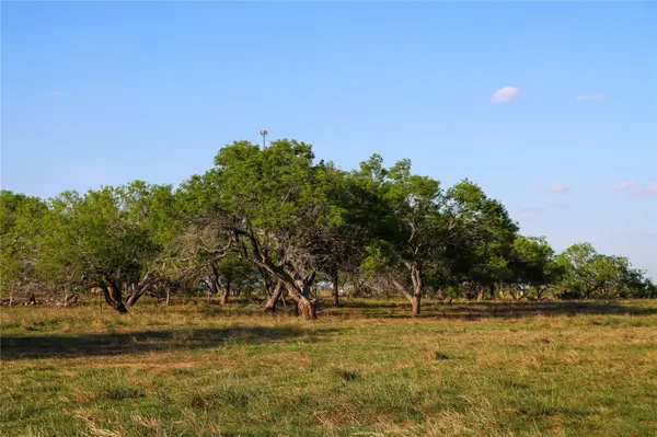 Tract 3 28.92 AC E State Highway 87, Nixon, TX 78140
