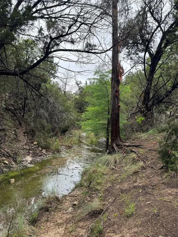 N/A Windy Hills RD, Dripping Springs, TX 78620