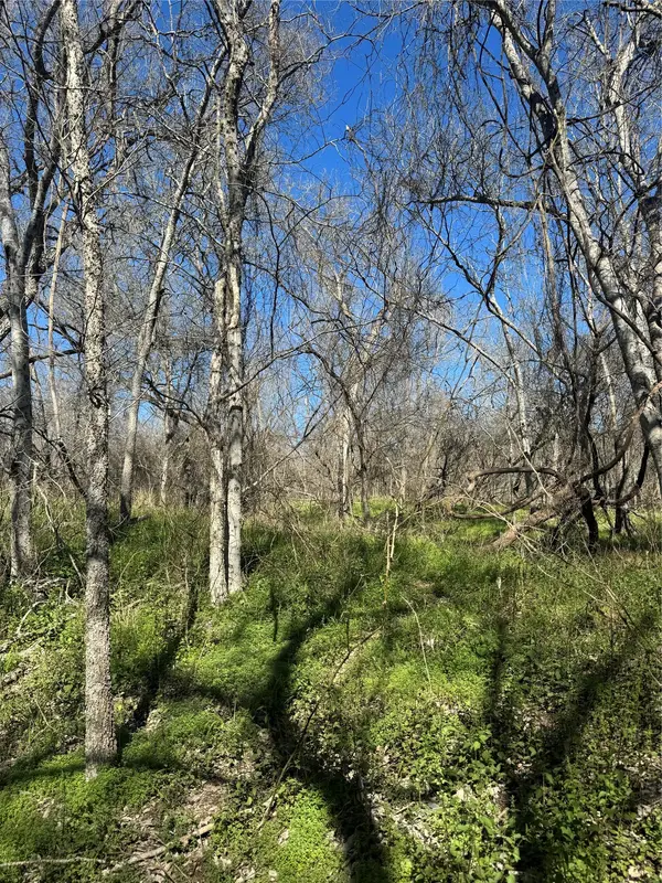 Lot 961 Riverside DR, Bastrop, TX 78602