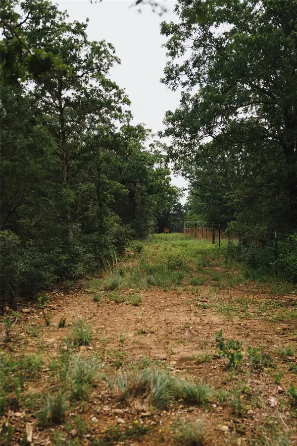 00 St Delight RD, Paige, TX 78659
