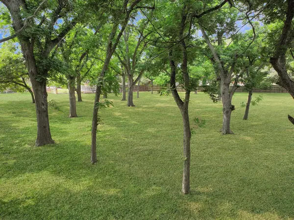 127 Milagros, Seguin, TX 78155