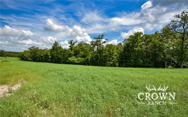TBD FM 908 (+/-1,057 acres), Caldwell, TX 77836