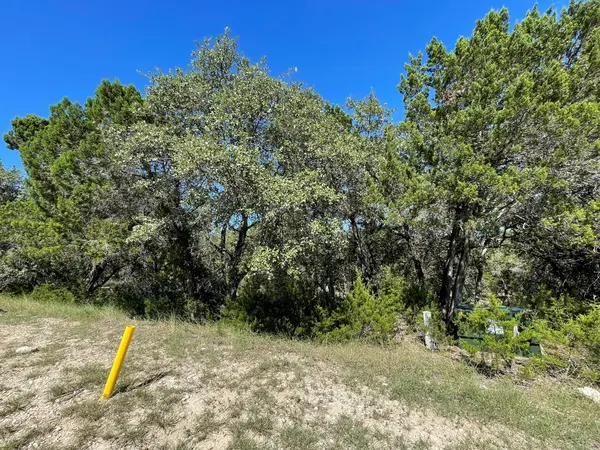 7717 Calcutta Run DR, Jonestown, TX 78645