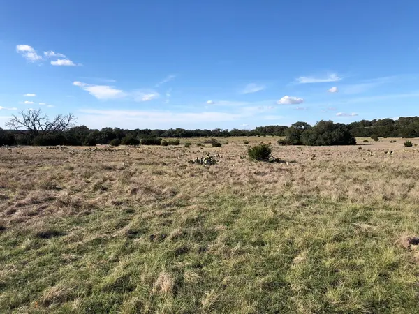 Lot 162 Addax CT, Lampasas, TX 76550
