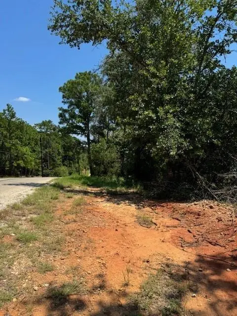 157 Lamaloa LN, Bastrop, TX 78602