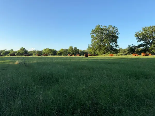 314 FM 2571, Smithville, TX 78957