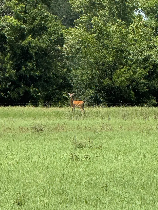 314 FM 2571, Smithville, TX 78957