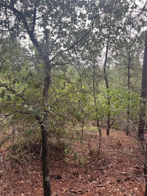 Lot 1492 Haleakala, Bastrop, TX 78602