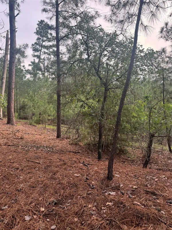 Lot 1492 Haleakala, Bastrop, TX 78602