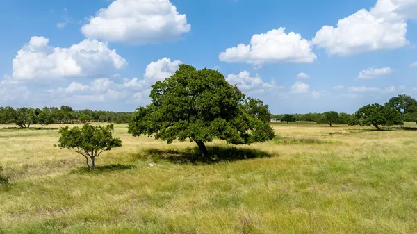 0 Lone Man Mountain RD, Wimberley, TX 78676