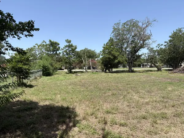 117 Gonzales ST, Paige, TX 78659
