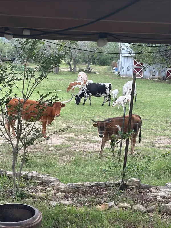 320 Valley Oak DR, Dripping Springs, TX 78620