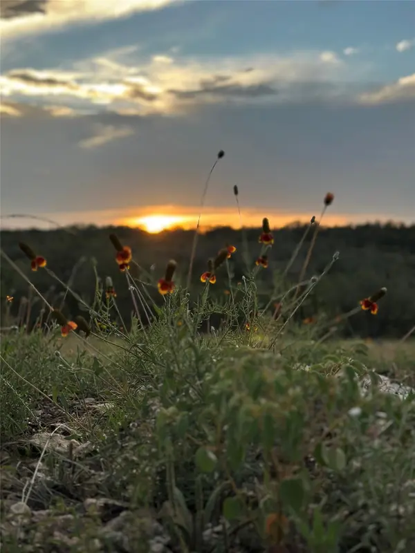 320 Valley Oak DR, Dripping Springs, TX 78620