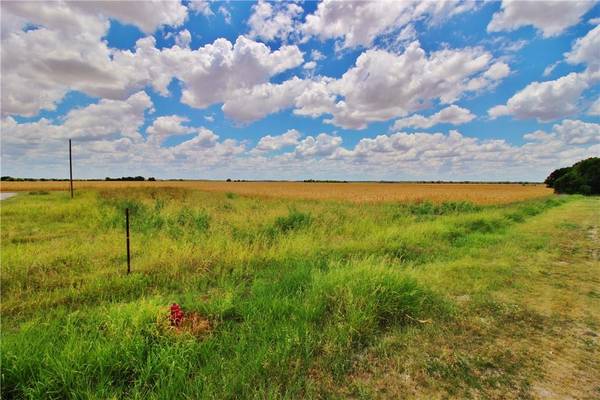 TBD E Jackson, Elm, Aisne, and Brook St. ST, Bartlett, TX 76511