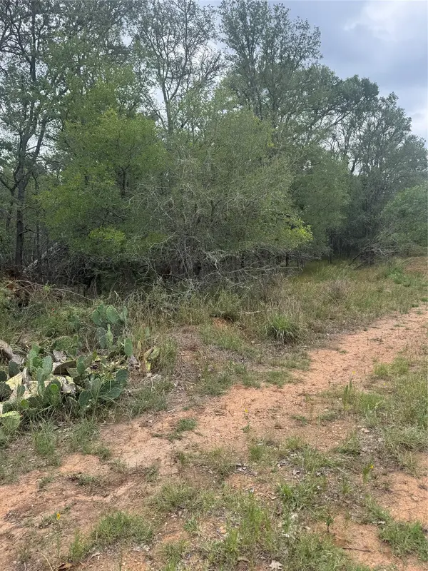 108 Howi LN, Bastrop, TX 78602