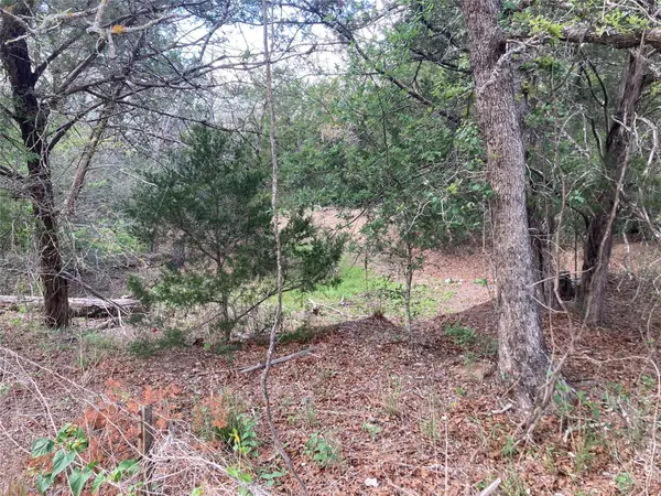 314 Green Oaks DR #Lot 14-B, Bastrop, TX 78602