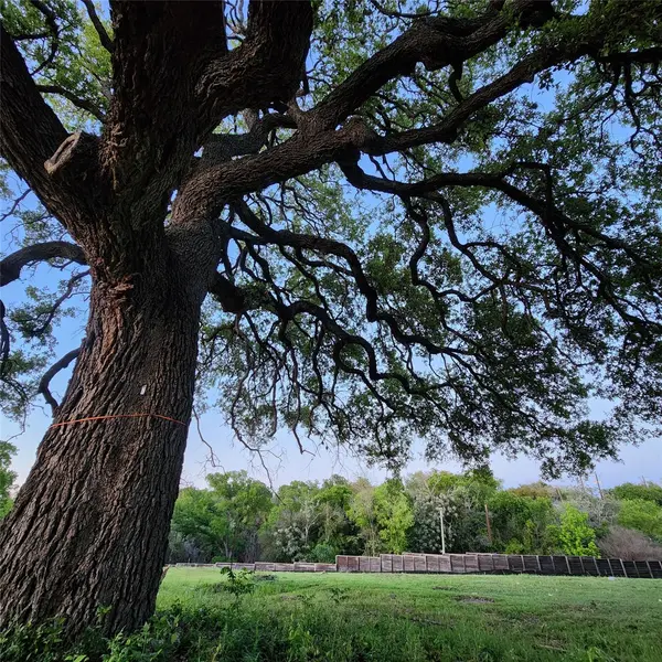 701 Montgomery ST, Georgetown, TX 78626