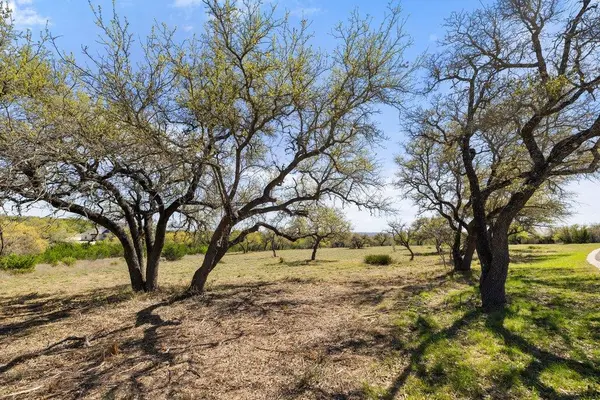 Lot 19 Stone Ridge Mountain DR, Round Mountain, TX 78663