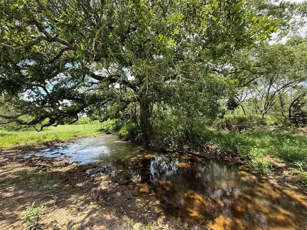 TBD Pettytown RD, Red Rock, TX 78662