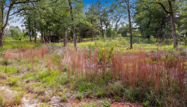 200 Cheyenne DR, Smithville, TX 78957