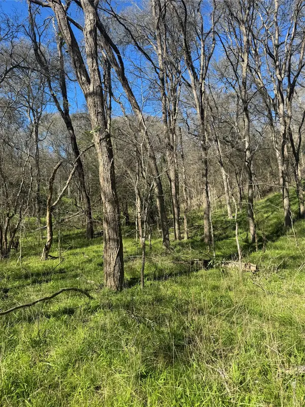 Lots 638. 639. 640 Kaukonahua LN, Bastrop, TX 78602