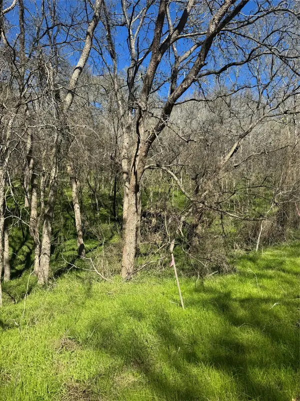 Lots 638. 639. 640 Kaukonahua LN, Bastrop, TX 78602