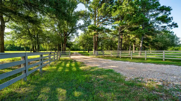 1462 County Road 313, Lexington, TX 78947