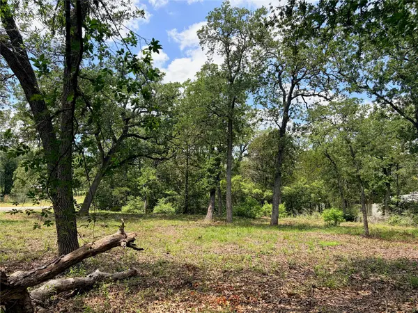 Lots-90/91 Arapaho DR, Smithville, TX 78957