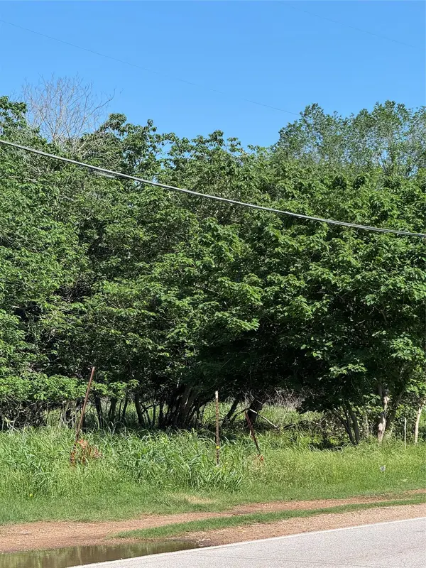 600 Gazley ST, Smithville, TX 78957