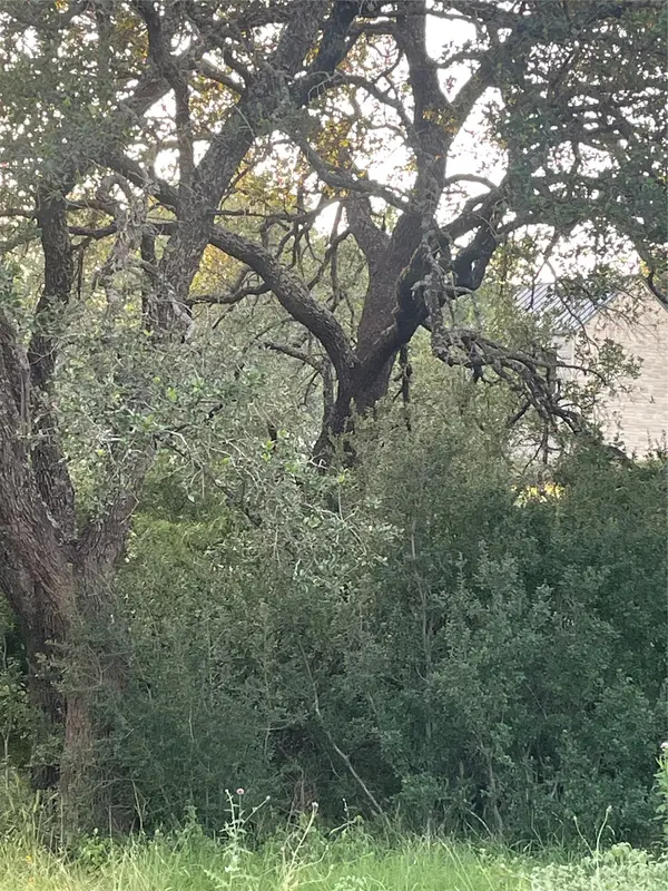 Lot 15 Orange Plume, Horseshoe Bay, TX 78657