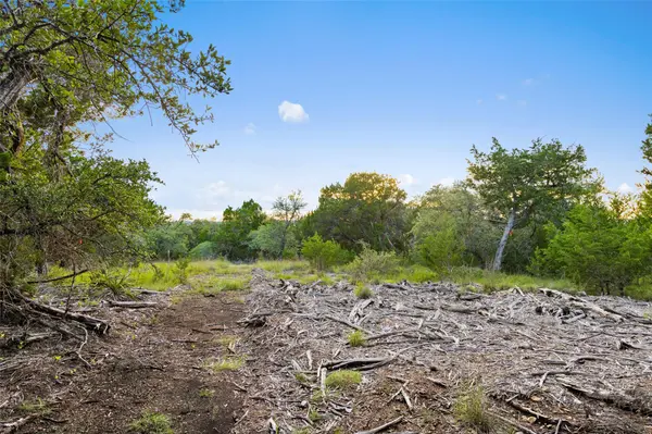 31890 Mirela Ann RD, Dripping Springs, TX 78620