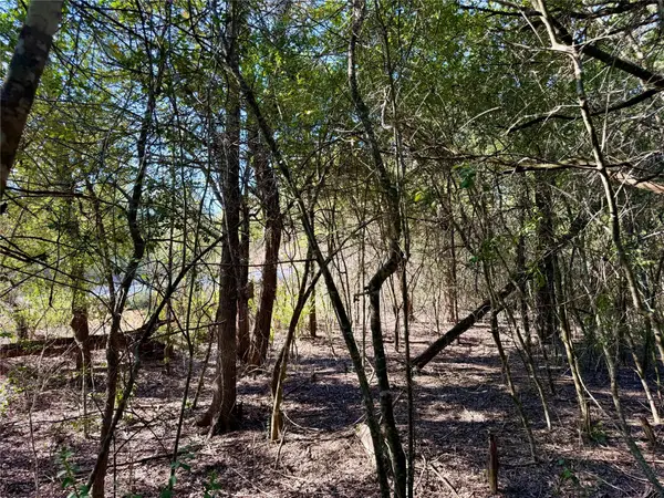 TBD Lot 1233 Hanauma DR, Bastrop, TX 78602