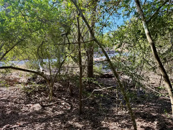 TBD Lot 1233 Hanauma DR, Bastrop, TX 78602