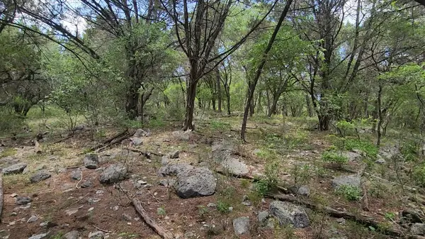 410 Owl Hollow RD, San Marcos, TX 78666