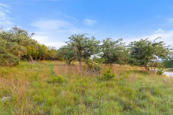31930 Mirela Ann RD, Dripping Springs, TX 78620