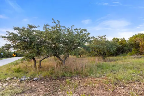 31930 Mirela Ann RD, Dripping Springs, TX 78620