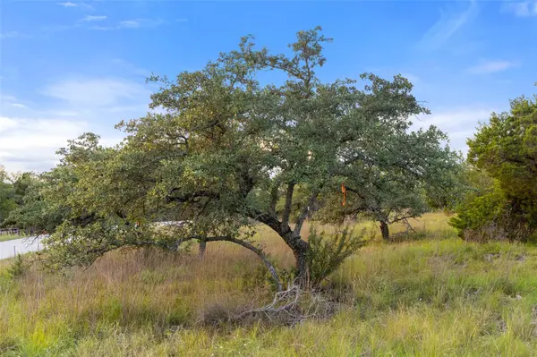 31930 Mirela Ann RD, Dripping Springs, TX 78620