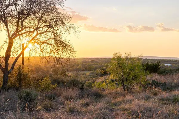 1407 County Road 311 RD, Horseshoe Bay, TX 78657