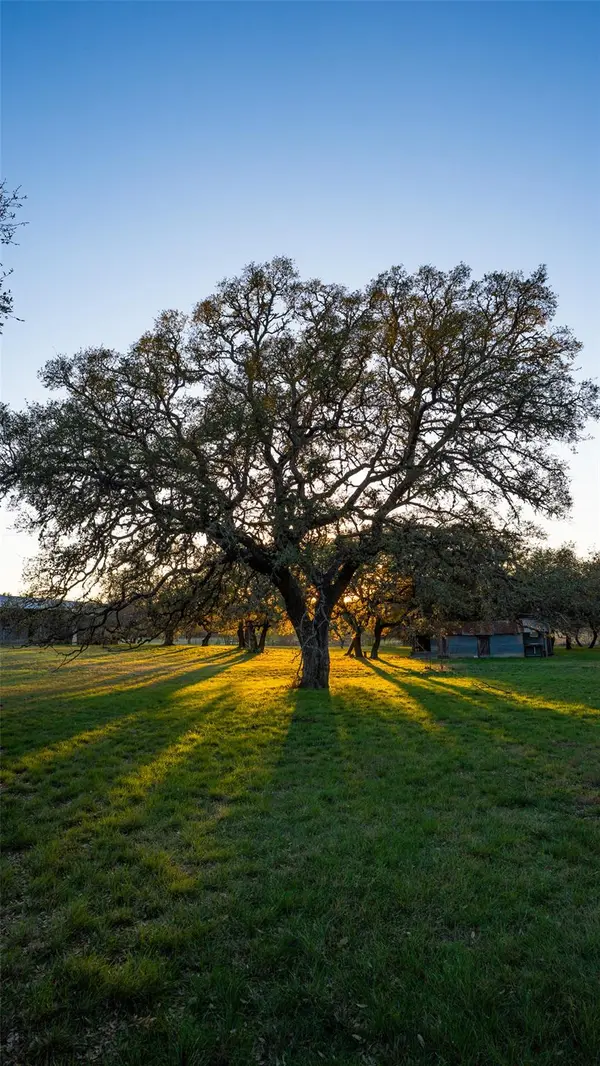 1294 Crabapple RD, Blanco, TX 78606