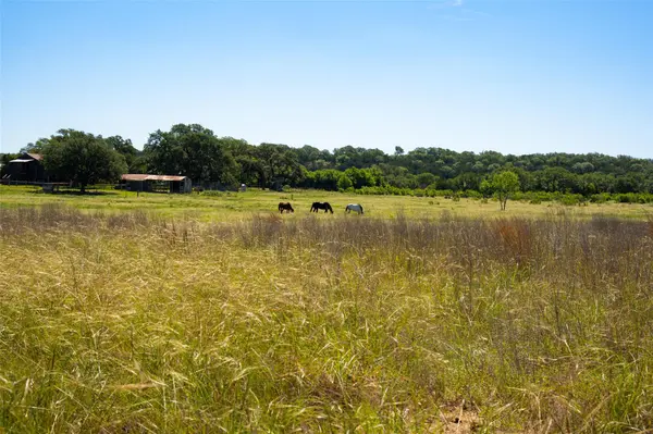 1294 Crabapple RD, Blanco, TX 78606