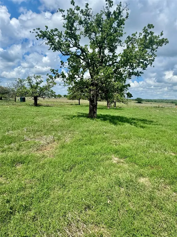 TBD Lot 10 Cardinal RD, Rosanky, TX 78953