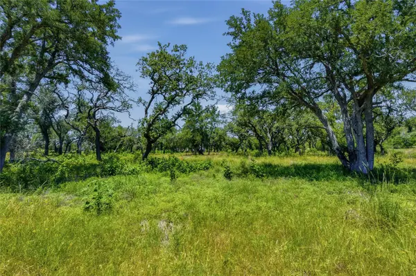 623 Whiskey TRL, Blanco, TX 78606